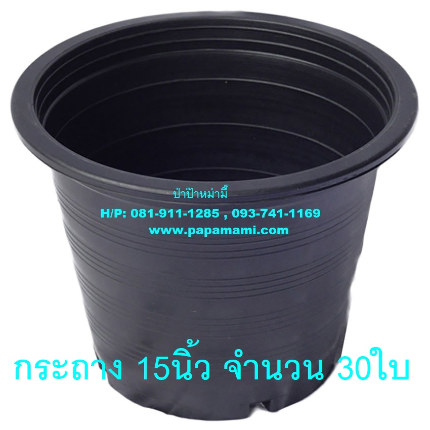 My Image 33