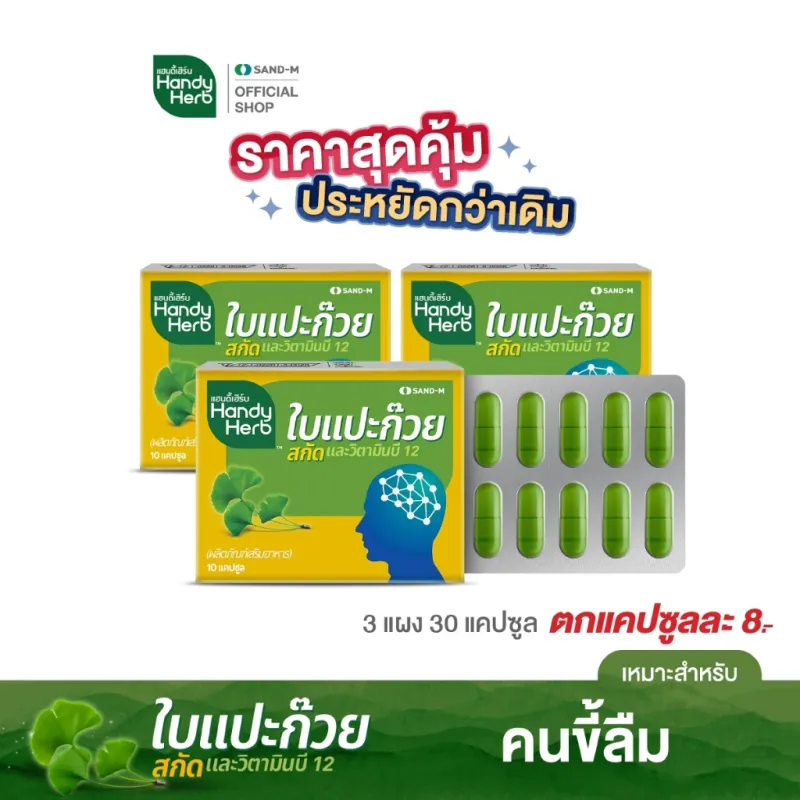 ภาพสินค้าHandyHerb ใบแปะก๊วยสกัด ขนาดแผงคุ้มค่า สมุนไพรเสริมความจำ ทานประจำคุ้มกว่า จากร้าน HandyHerb บน Lazada ภาพที่ 2