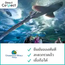 ภาพขนาดย่อของภาพหน้าปกสินค้าบัตรเข้าชม อันเดอร์วอเตอร์เวิลด์ พัทยา (Underwater World Pattaya) จากร้าน ไดเร็คคอนเนค บน Lazada