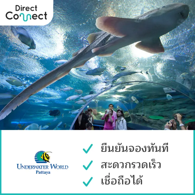 ภาพหน้าปกสินค้าบัตรเข้าชม อันเดอร์วอเตอร์เวิลด์ พัทยา (Underwater World Pattaya) จากร้าน ไดเร็คคอนเนค บน Lazada