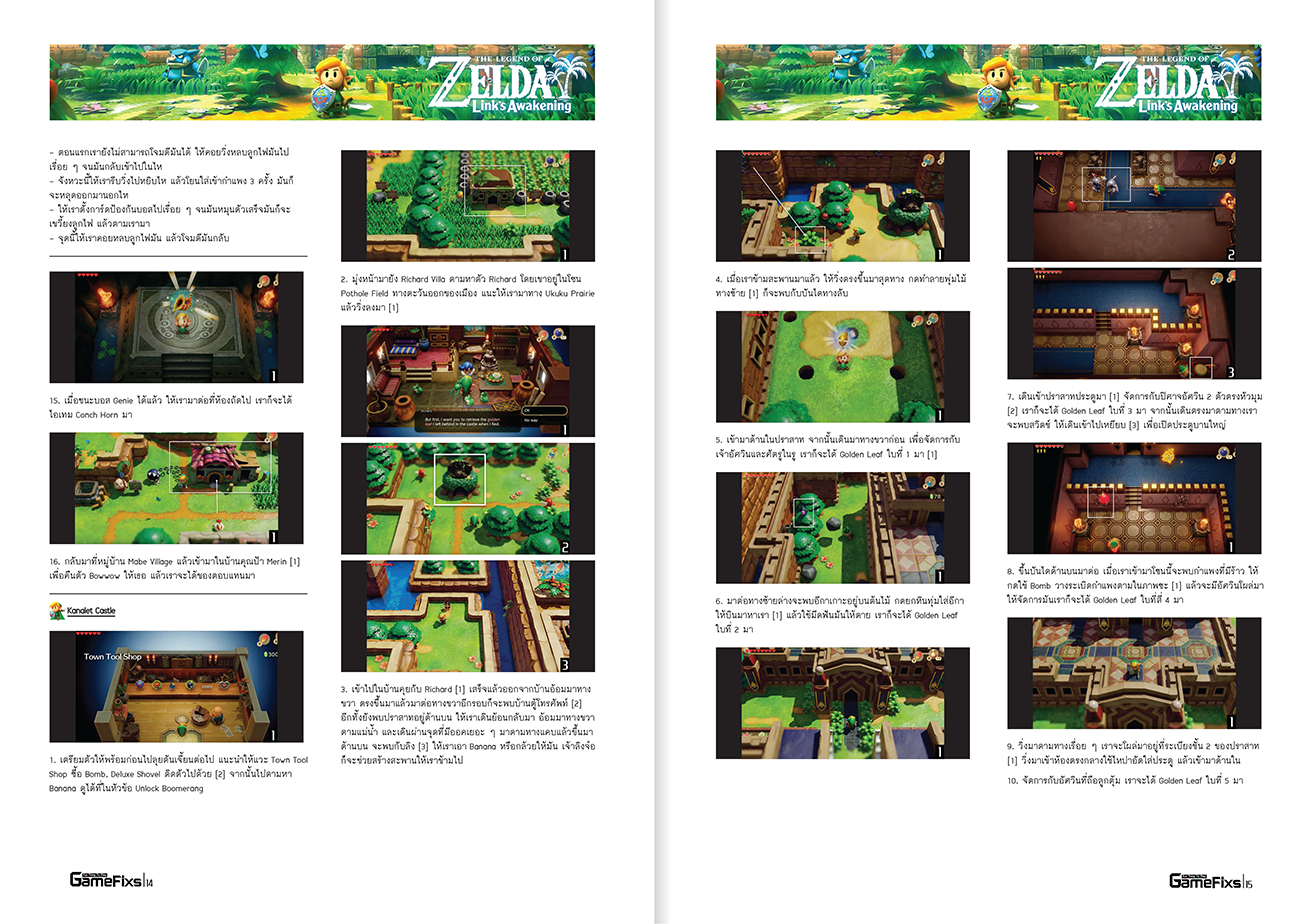 Link's Awakening Camcorder Store Link's Awakening
