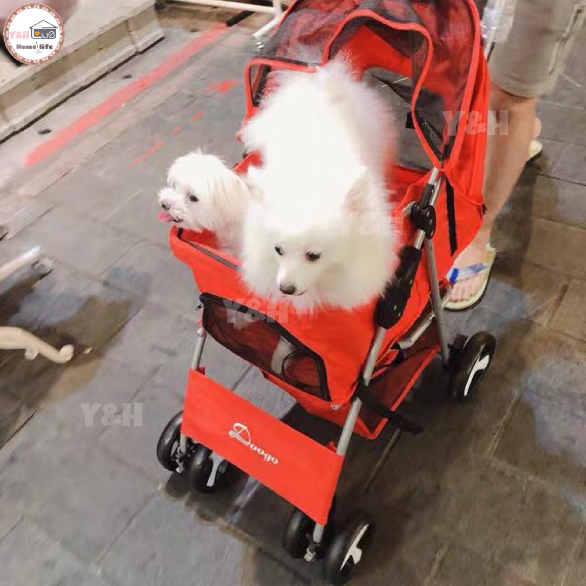 Y&H Doogo - รถเข็นสุนัข, รถเข็นสัตว์เลี้ยง 4 ล้อ 4 wheeled animal cart (สูงสุด 15 กิโลกรัม) Pet trolley /Red