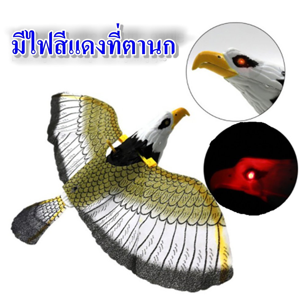 นกอินทรีย์แบบใส่แบตเตอรี่ เหยี่ยวไล่นก หุ่นไล่นก อินทรีย์ไล่นก