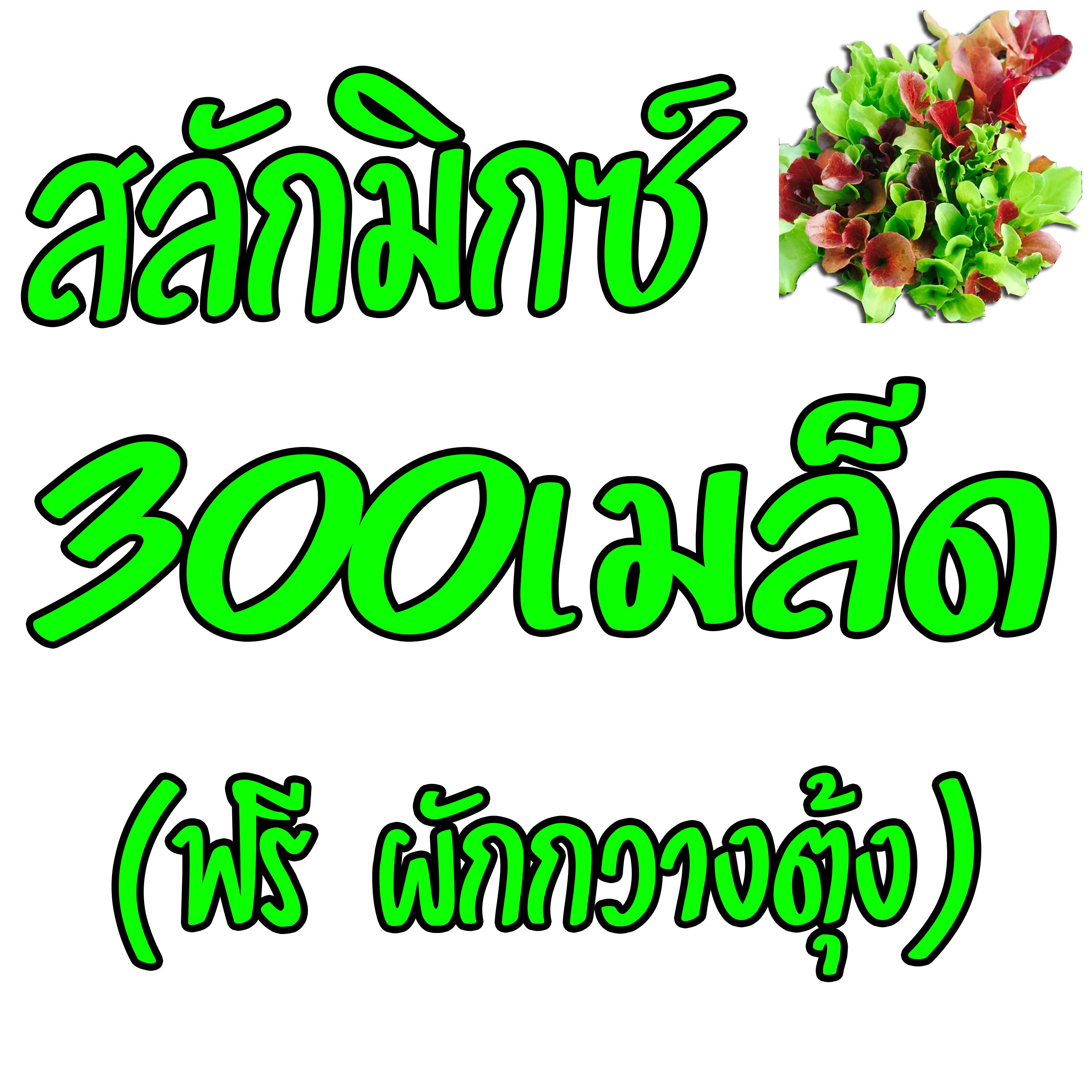 My Image 80