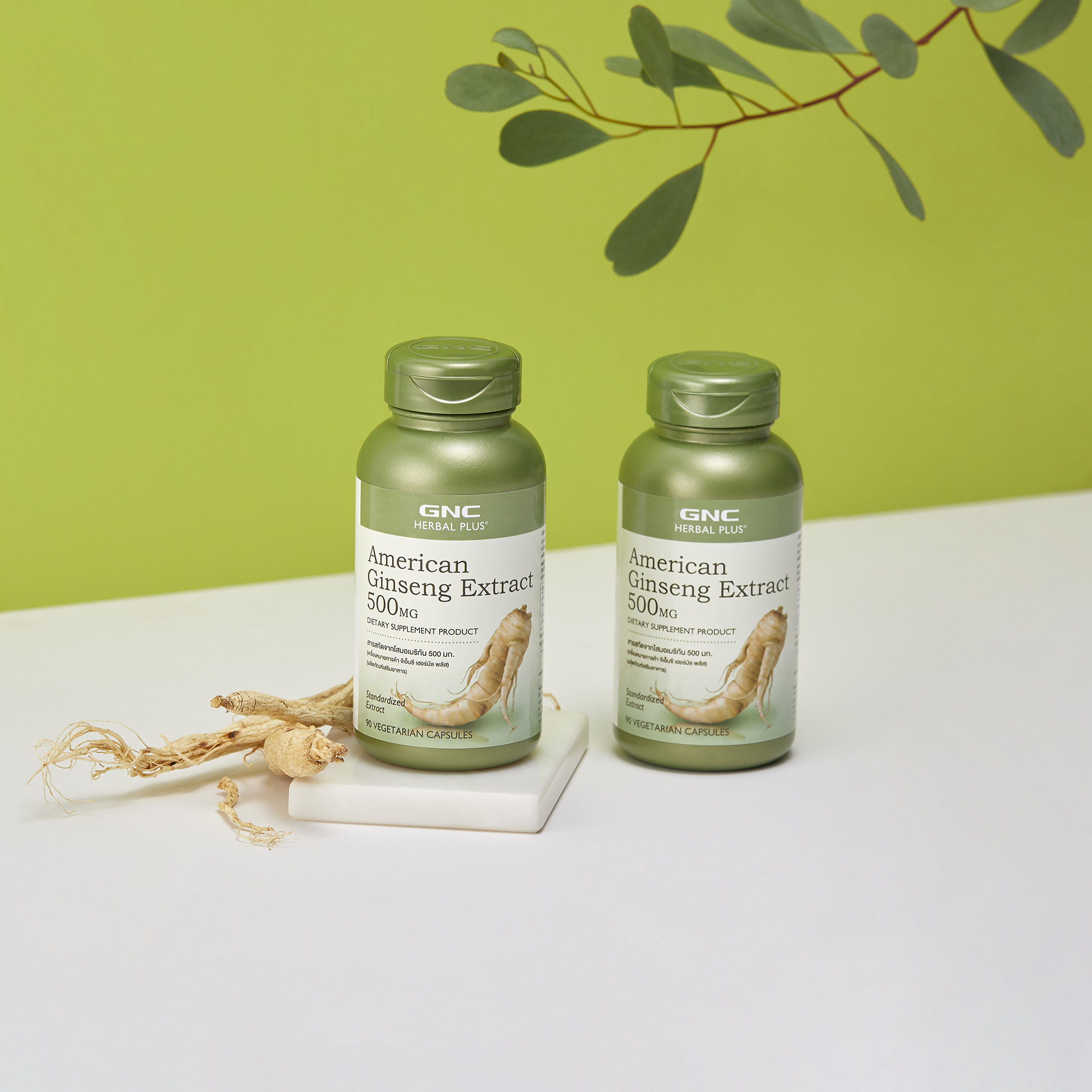 โปรโมชั่น GNC American Ginseng Extract 500mg 90 Capsules Tessa Good