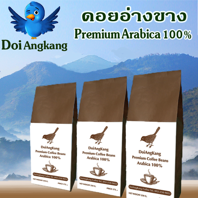เมล็ดกาแฟคั่ว กาแฟดอยอ่างขาง Arabica100%เกรดพรีเมี่ยม250g.3ถุง