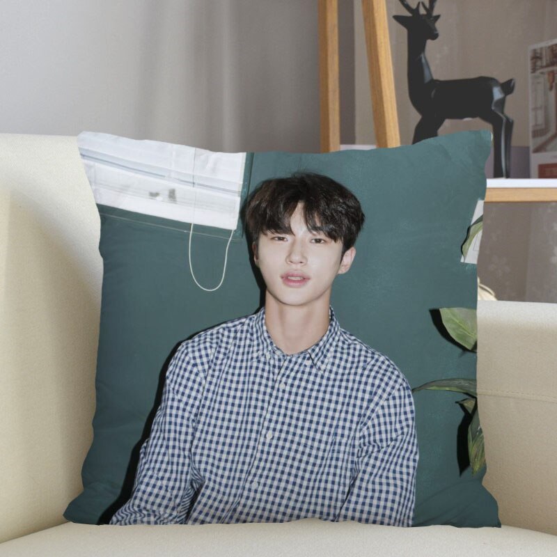 Byeon Woo Seok Cushion Pillow Tent,Office,Home Cotton Linen Zippered  Pillowcase Family Home Accessories Customizable One Side - AliExpress