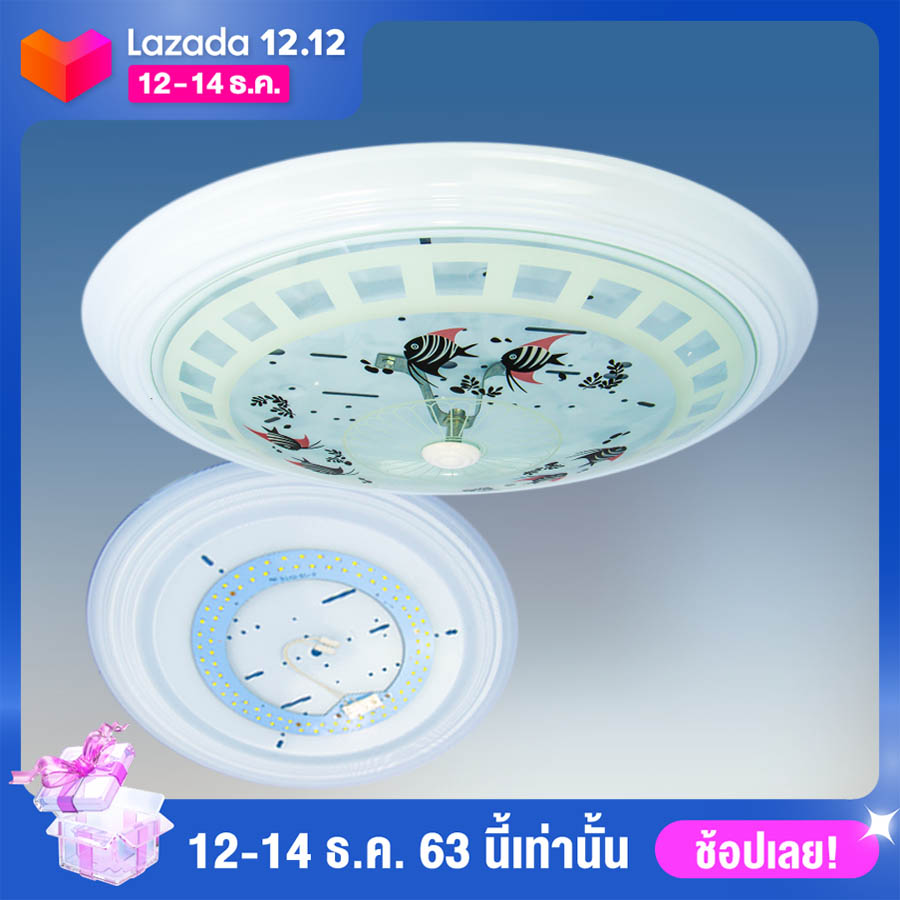 My Image 20