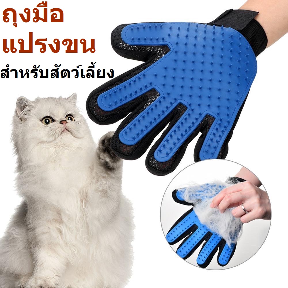 ถุงมือแปรงขนหมา ที่แปรงขนแมว ที่แปรงขนสัตว์เลี้ยง แปรงขนสำหรับสัตว์เลี้ยง สุนัข/แมว สินค้าดี ราคาถูก พร้อมส่งในประเทศไทย -P190บัตรประจำตัวสัตว์เลี้ยง
