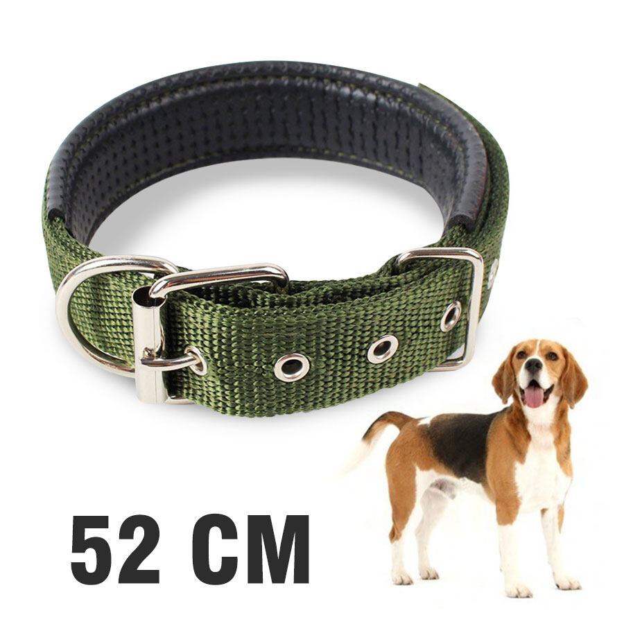 ปลอกคอสุนัข ปลอกคอ Dog collars สามารถปรับได้ กระดุมหนึ่งเม็ด สีเขียว มี 3ไซต์ เหมาะกับสุนัขกลาง สุนัขใหญ่ Helium