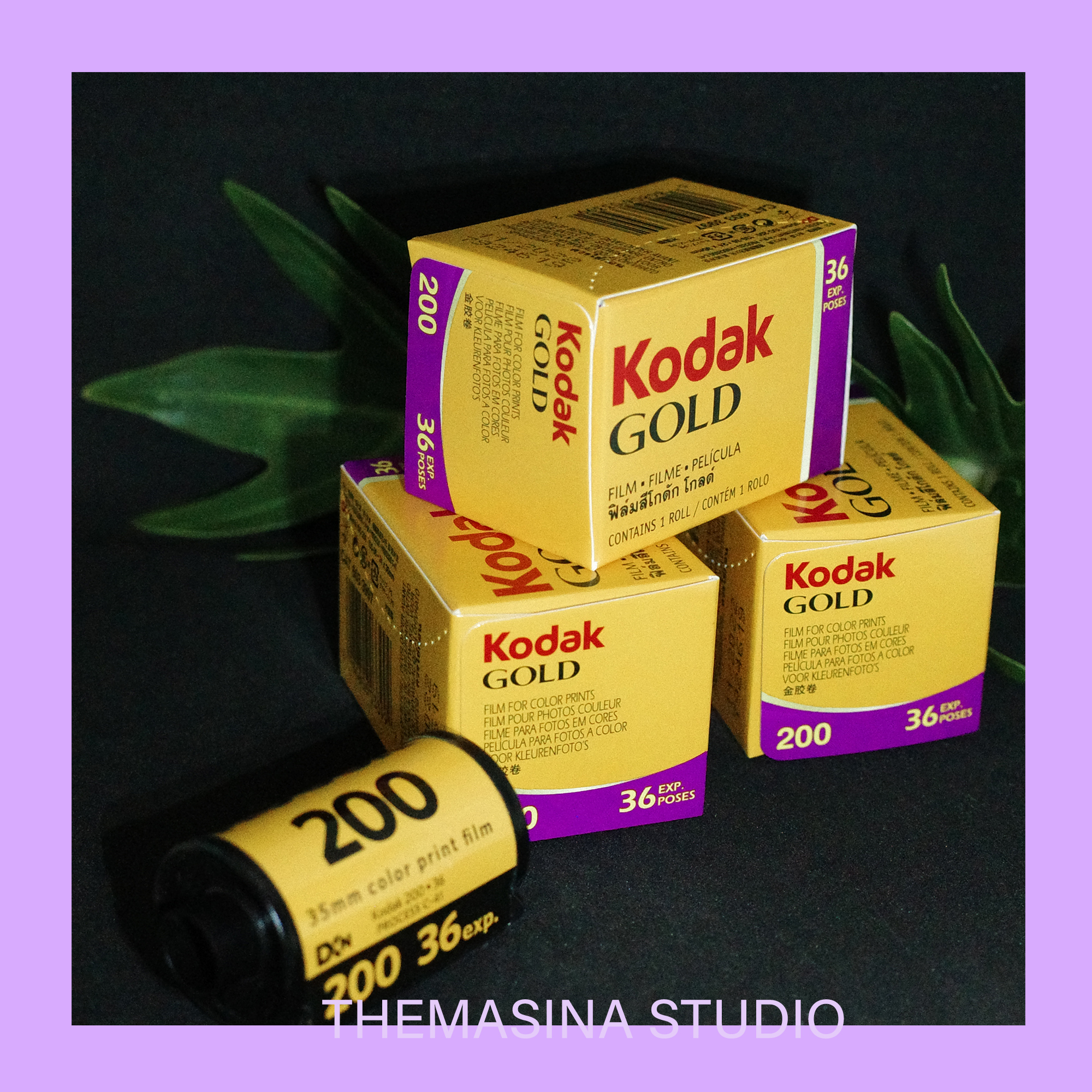 ฟิล์มถ่ายรูป KodakGOLD (36รูป)Exp2024 ฟิล์มสี ฟิล์มใหม่ แท้100 ฟิล์ม ...