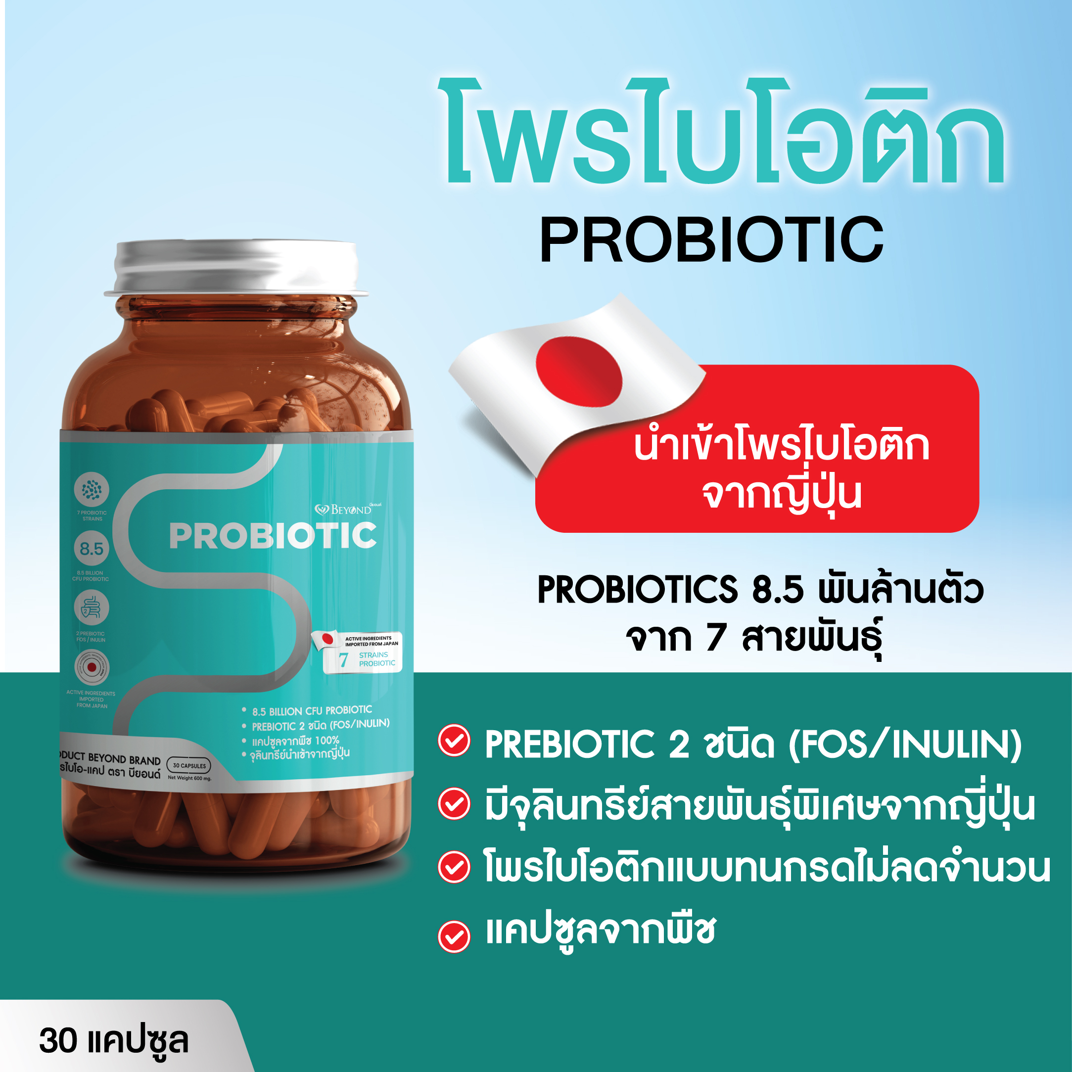Probiotic Prebiotic 30 Lazada co th probiotic-prebiotic-30-lazada-co-th