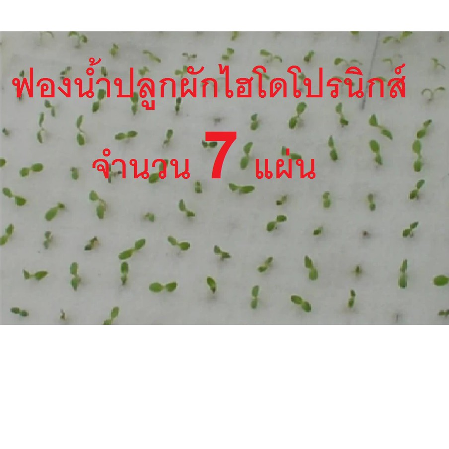 My Image 37