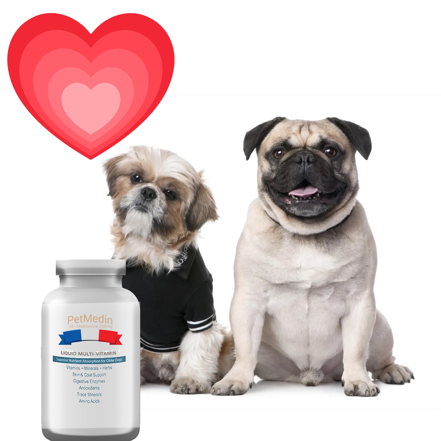 โรคหัวใจในสุนัข รักษาที่ไหนดีศูนย์โรคหัวใจสุนัขตรวจ “หัวใจสุนัข” ราคาการรักษาโรคหัวใจรั่วในสุนัขโรคหัวใจโตในสุนัขสุนัขโรคหัวใจ pantipอาหารสุนัขโรคหัวใจทำเองecho หัวใจสุนัขรักษาโรคหัวใจในสุนัข