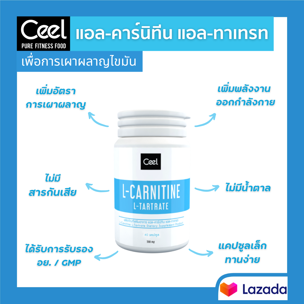 Ceel L-Carnitine  แอลคาร์นิทีน