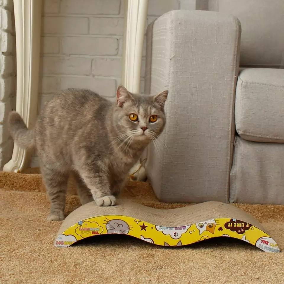 ที่ลับเล็บแมว กระดาษลูกฟูก ของเล่นแมว กระดาษลับเล็บแมว ที่ฝนเล็บแมว ฟรีหญ้าแมว (แคทนิป)