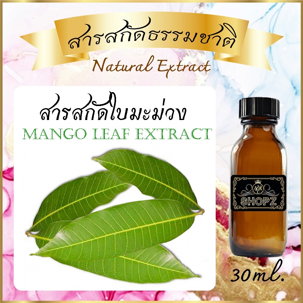 ️สารสกัดใบมะม่วง ️ Mango Leaf Extract ขนาด 30 ml. สารสกัดธรรมชาติ สาร