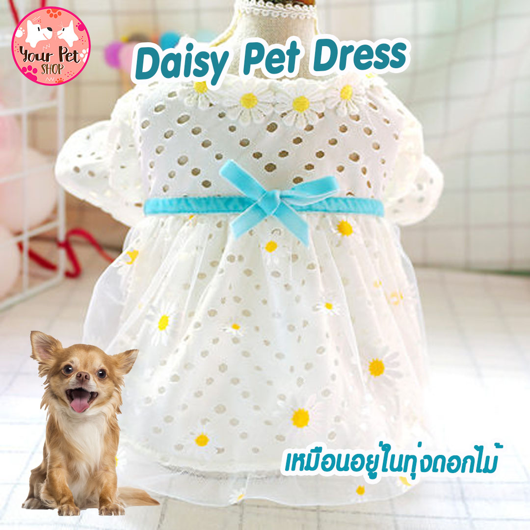 Daisy Pet Dress เสื้อสีขาวลายดอกเดซี่ สดใส  เสื้อหมา เสื้อแมว เสื้อสัตว์เลี้ยง เดรสหมา เดรสแมว ชุดกระโปรงหมา