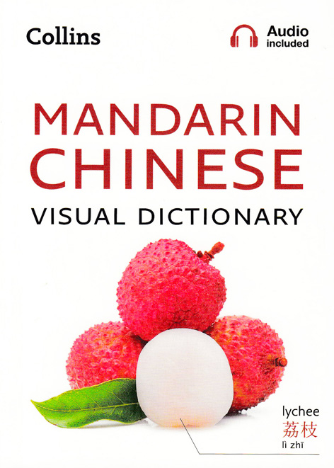 MANDARIN CHINESE VISUAL DICTIONARY by DK Today