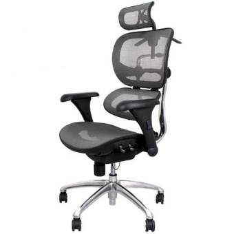 Ergotrend เก้าอี้เพื่อสุขภาพ เก้าอี้ทำงาน เก้าอี้สำนักงาน เออร์โกเทรน รุ่น Signature-01GMM สีเทา
