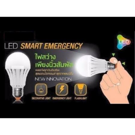 หลอดไฟอัจฉริยะ อัตโนมัติ เมื่อไฟดับ แสงเดยไลท์  Iwachi Emergency LED 12W 2 หลอด
