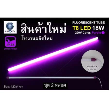 IWACHI หลอดนีออนสี ขั้วกันน้ำ รุ่นใหม่ LED T8 18W สีม่วง (2 หลอด)