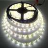 Kranchana Electric ไฟเส้น LED RIBBON STRIP 12V ขนาด 5 M ใช้งานภายใน  สี วอร์ม