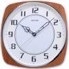 Rhythm Plastic Wall Clocks นาฬิกาแขวนพลาสติก รุ่น CMG509NR