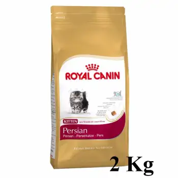 โปรโมชั่น Royal Canin Kitten Persian 2kg โรยัลคานิน สูตรลูกแมวเปอร์เซียอายุ 4 - 12เดือน 2 กิโลกรัม ดีไหม