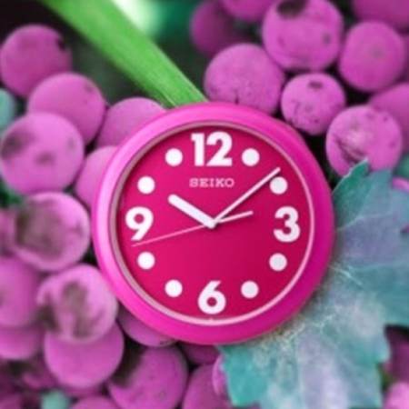  SEIKO นาฬิกาแขวน รุ่น PAA544