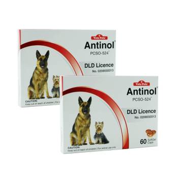   VetzPetz® Antinol Soft Gel Caps ขนาด 60 เม็ด x 2 กล่อง ดีไหม