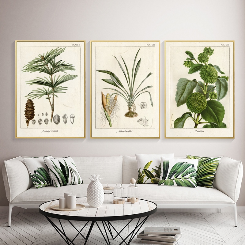 Vintage Wild Plant Poster Botanical Flower Study Poster Living Room ...