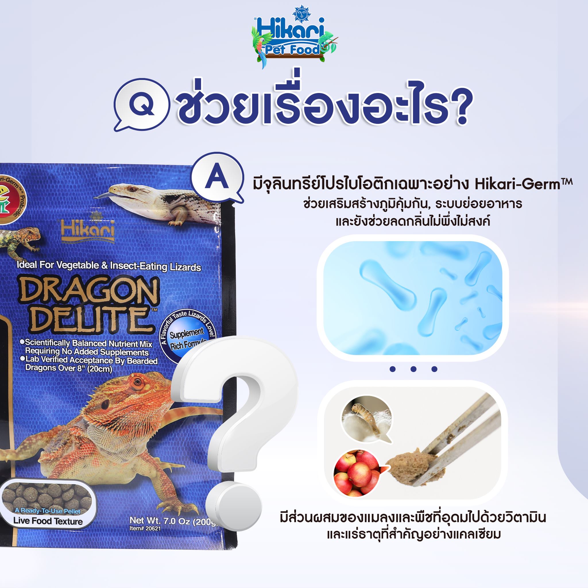 Hikari Reptile Food อาหารสำหรับกิ้งก่า ตุ๊กแก และสัตว์เลื้อยคลาน อาหาร ...