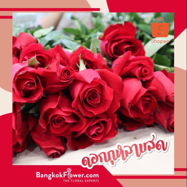 Fresh roses (flowers 10 / bundle) delivery professionally. Guaranteed fresh flowers ** annoy customers check the color of the chat before the order I **.