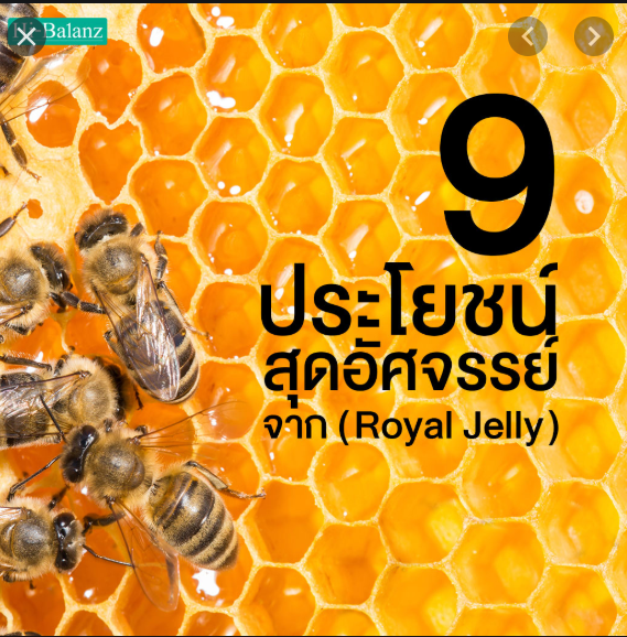 แบ่งขาย 30 เม็ด ] Healthy Care Royal Jelly 1000 mg 30