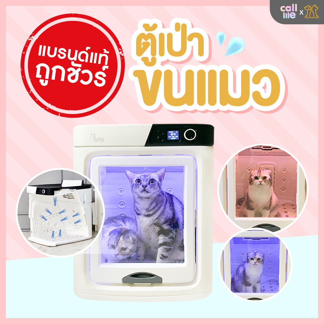 [ผ่อน 0% สูงสุด10เดือน+ เก็บคูปองลาซาด้าลดเพิ่ม!] Pepe Pet Dry Room เครื่องเป่าขนแมว รับประกัน 2 ปี ส่วนอื่นๆ รับประกัน 1 ปี