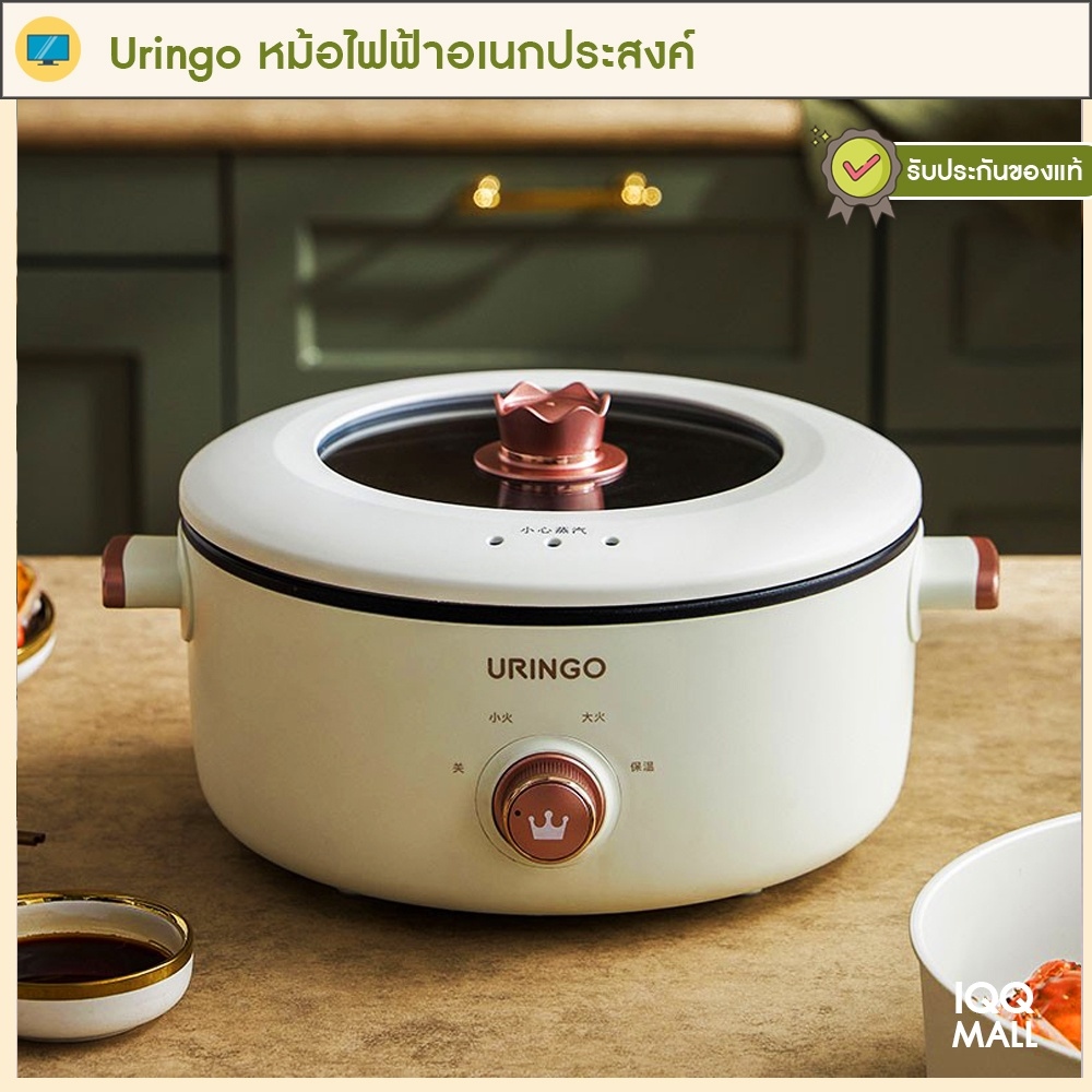 Electric pot multipurpose pan electric BMW3 L nonstick pot tea pot