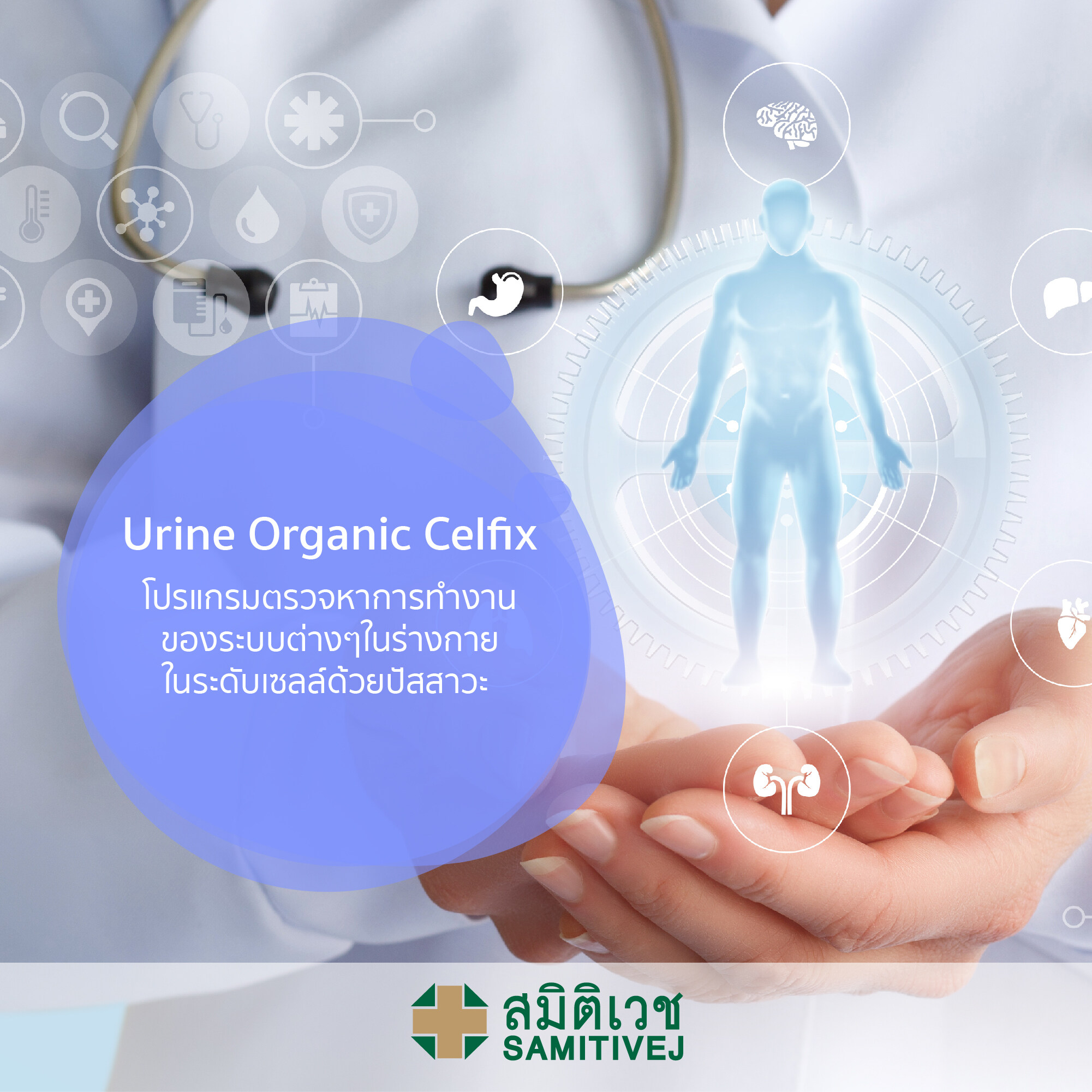 Urine Organic Celfix - โปรแกรมตรวจหาการทำงานของระบบต่างๆในร่างกายในระดับเซลล์ด้วยปัสสาวะ - สมิติเวชศรีนครินทร์