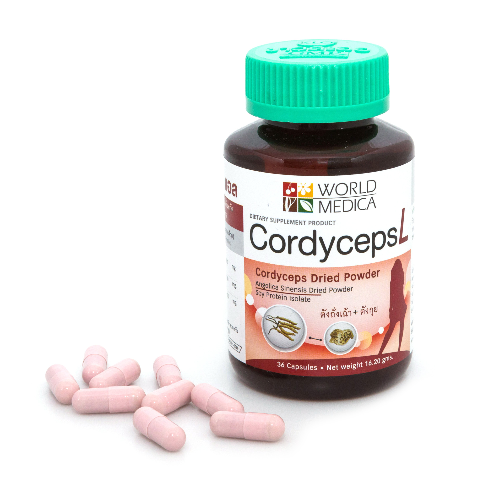 คอร์ดิเซพส์ แอล ขาวละออ (ถั่งเฉ้า สูตรผู้หญิง) 36 แคปซูล Cordyceps L(ผลิตภัณฑ์เสริมอาหาร ผงตังถั่งเฉ้า, ผงตังกุย, และโปรตีนสกัดจากถั่วเหลือง