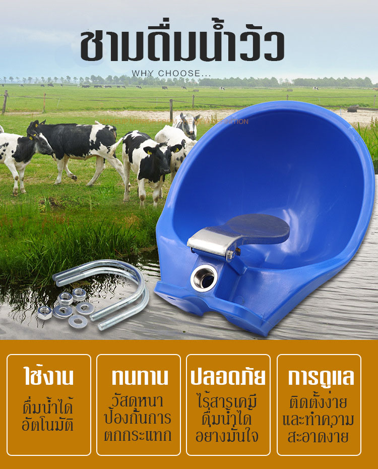 ชามดื่มน้ำววัว ชามใส่น้ำวัว ที่ดื่มน้ำอัตโนมัติ ชามดื่มน้ำอัตโนมัติ ที่ดื่มน้ำวัว