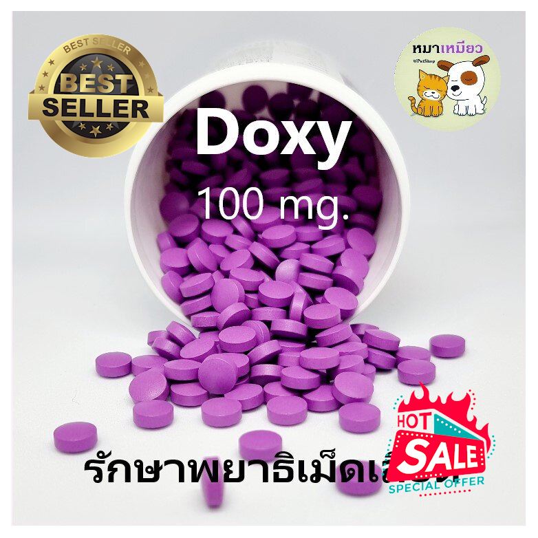 รายการ 97+ ภาพพื้นหลัง อาหาร สำหรับสุนัขที่เป็นพยาธิ เม็ดเลือด ใหม่ที่สุด รายการ 97+ ภาพพื้นหลัง อาหาร สำหรับสุนัขที่เป็นพยาธิ เม็ดเลือด ใหม่ที่สุด