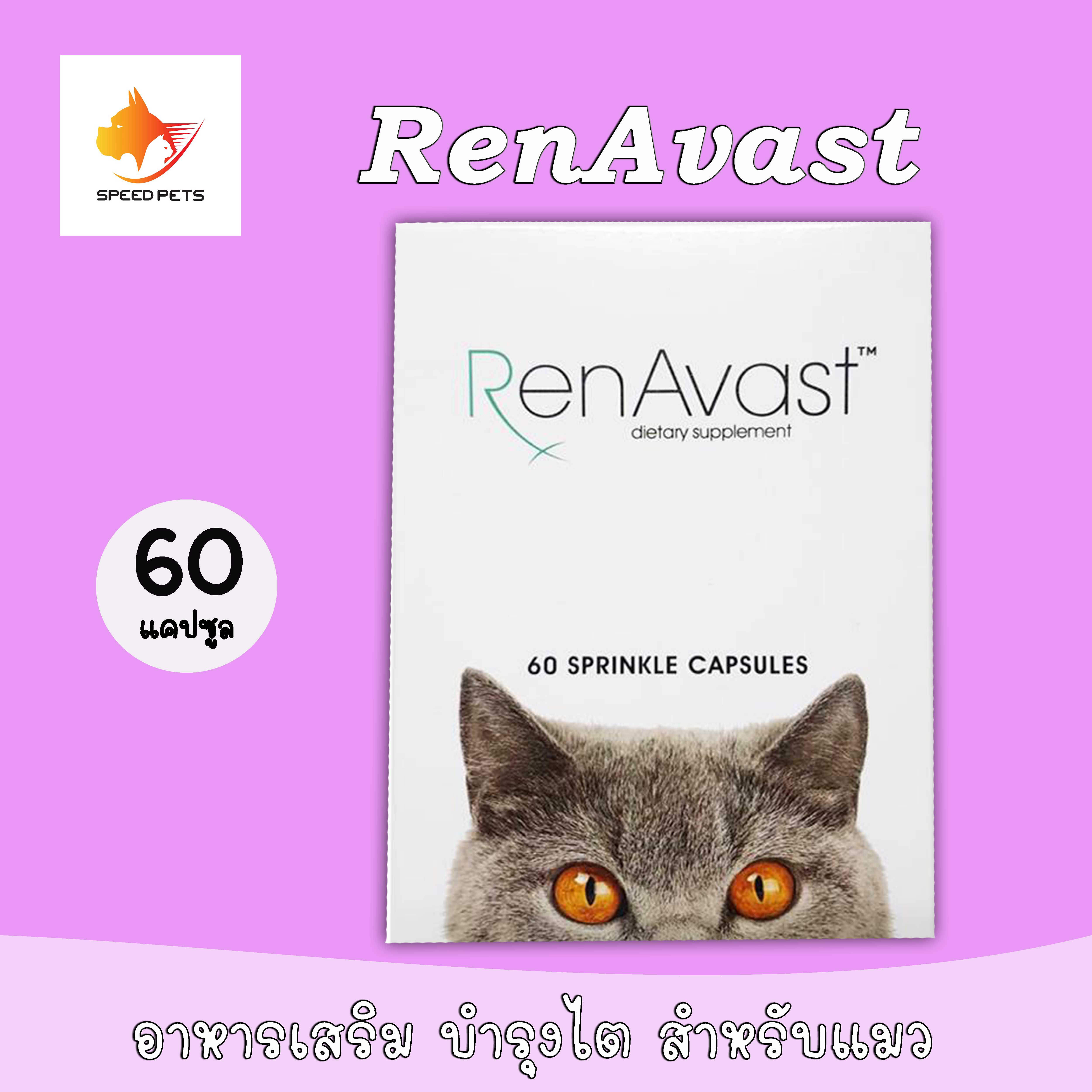 RenAvast CAT (60 แคปซูล) อาหารเสริม บำรุงไตแมว แมวป่วยโรคไต ไตเสื่อม ค่าไตขึ้น บำรุงระดับเซลล์  60 แคปซูล