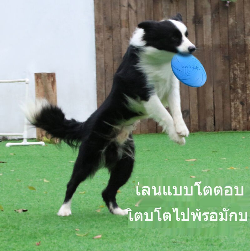 สุนัข จานร่อน ของเล่นสำหรับสัตว์เลี้ยง จานร่อน สุนัข ซิลิโคนกัดจานร่อน จานร่อน การฝึกอบรมการขว้างปาของเล่น