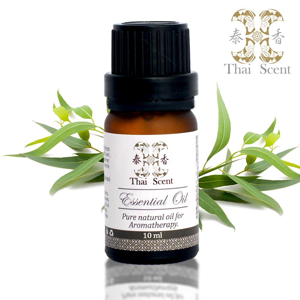 Thai Scent น้ำมันหอมระเหยกลิ่นยูคาลิปตัส Eucalyptus Essential Oil ขนาด 10ml Th 6696