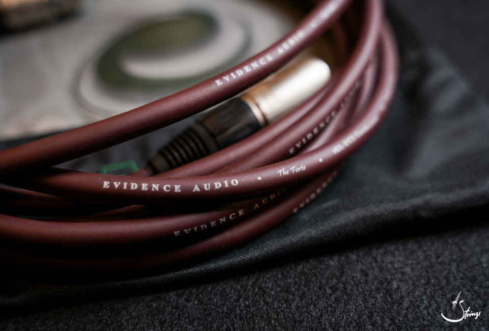 Evidence String สายไมโครโฟน Evidence Audio The Forte XLR-Balanced 15ft Microphone Cable ...