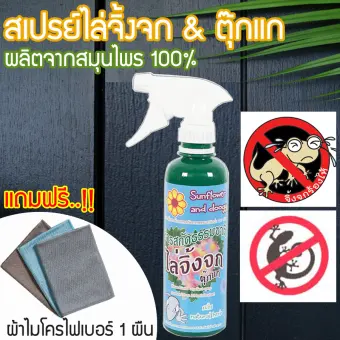 สม นไพรไล จ งจก สเปรย ไล จ กจก ไล ต กแก ต กแกบ าน สม นไพรไล จ งจก สม นไพรไล แมลง กำจ ดจ งจก ต กแก แถมผ าไมโครไฟเบอร