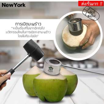 New York Big Sale ที่เปิดมะพร้าว ที่เจาะมะพร้าว ผ่า เจาะ มะพร้าว สแตนเลสพร้อมค้อนทุบ No.Y166-SILVER