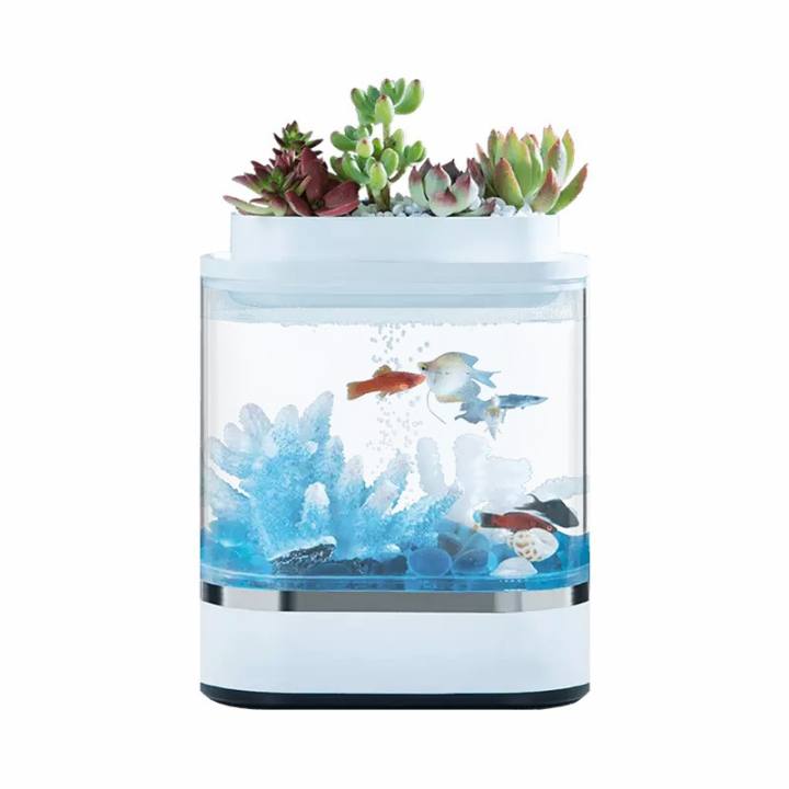 fish tank