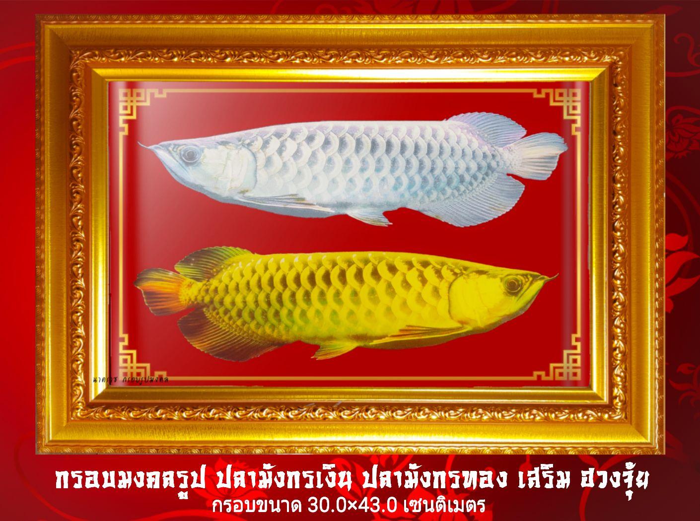 กรอบมงคลรูป ปลามังกรเงิน ปลามังกรทอง /เสริมฮวงจุ้ย/ตกแต่งบ้าน/ของฝากมงคล