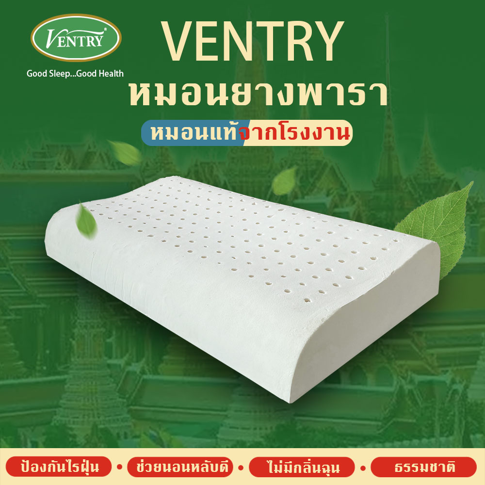 Ventry Contour L pillow หมอนยางพาราของแท้ พร้อมส่ง Lazada.co.th